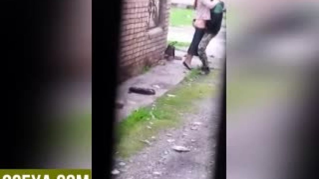 понемногу улица красит